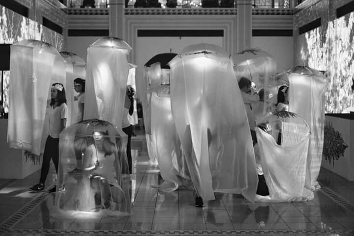 13645309_1308737085821326_3135913599607593416_n